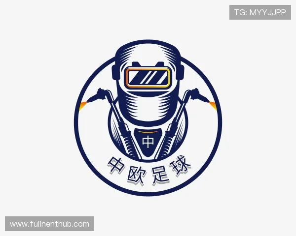 了解中欧足球